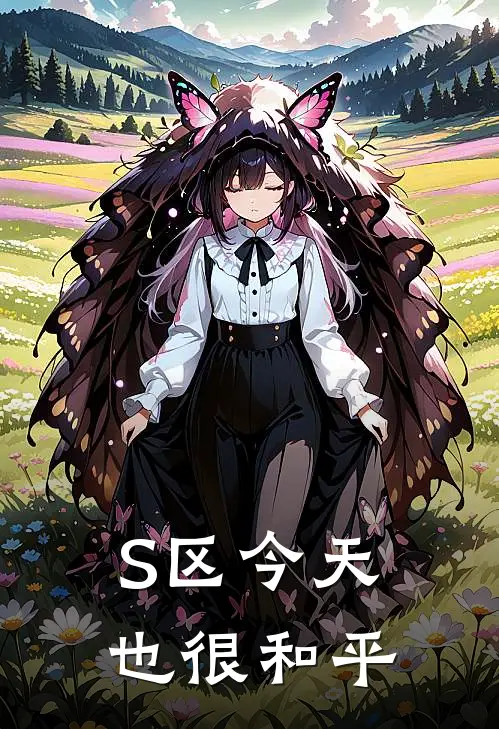 S区今天也很和平